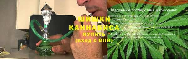 индика Гусь-Хрустальный