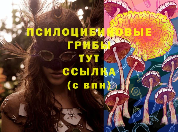 прущая мука Мегион