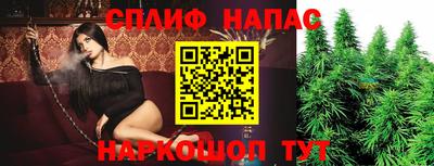 стаф Волгодонск