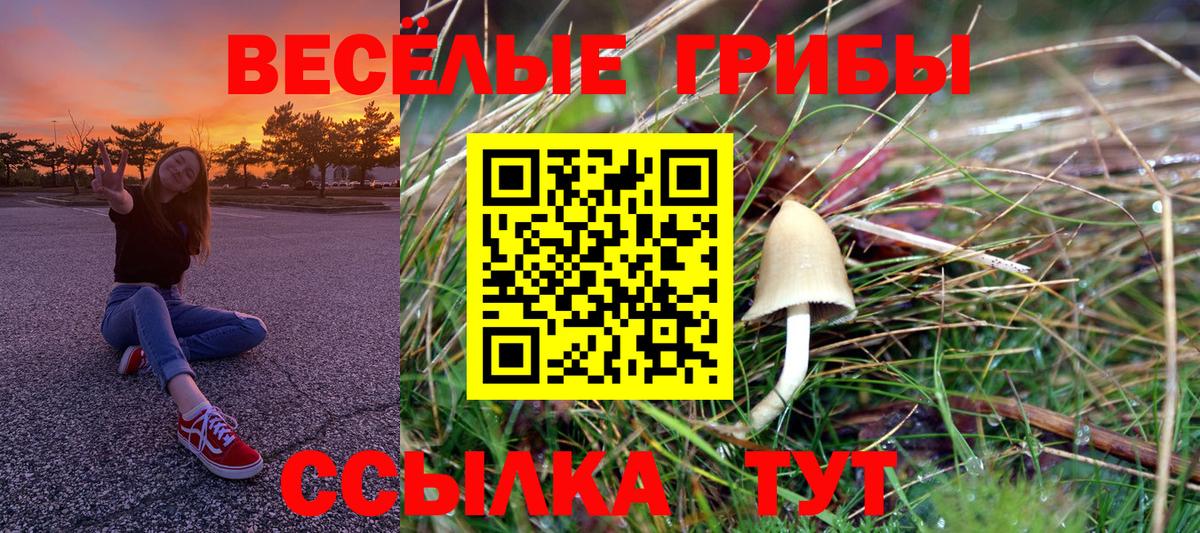 Галлюциногенные грибы Cubensis Киржач