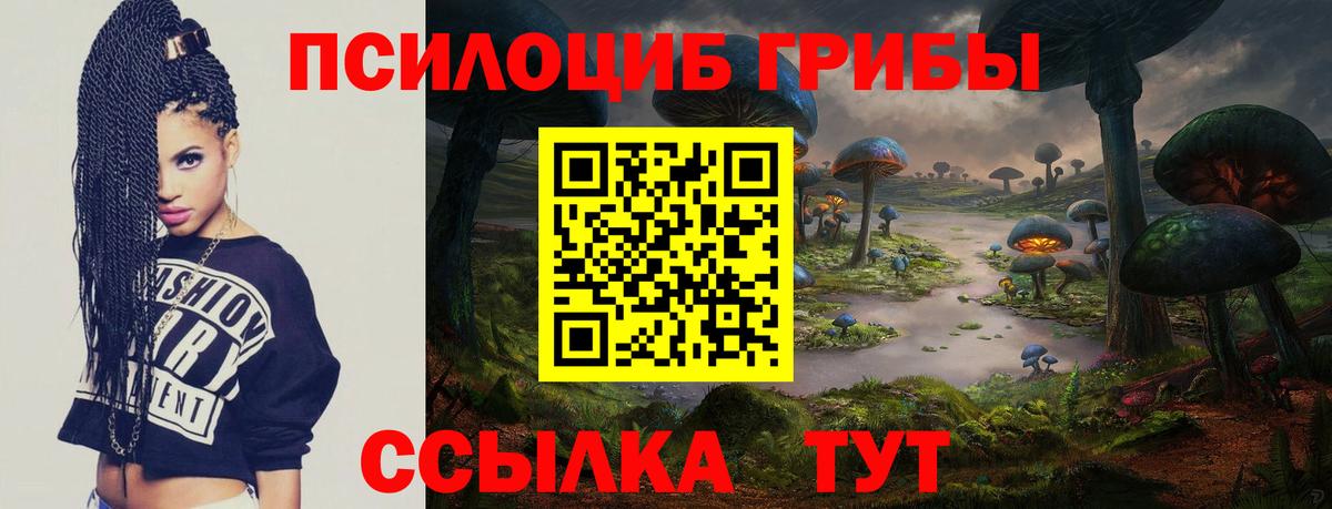 Галлюциногенные грибы мицелий  Вход с VPN  закладка  Киржач 